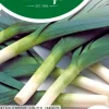 Horti tops zaden prei blauwgroene winter farinto