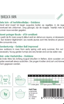 Horti tops zaden rapen goldana (goudbal kortlof)