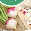 Horti tops zaden rapen ronde witte roodkop (nancy)