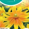 Horti tops zaden rudbeckia, zonnehoed prairie sun