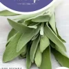 Horti tops zaden salie