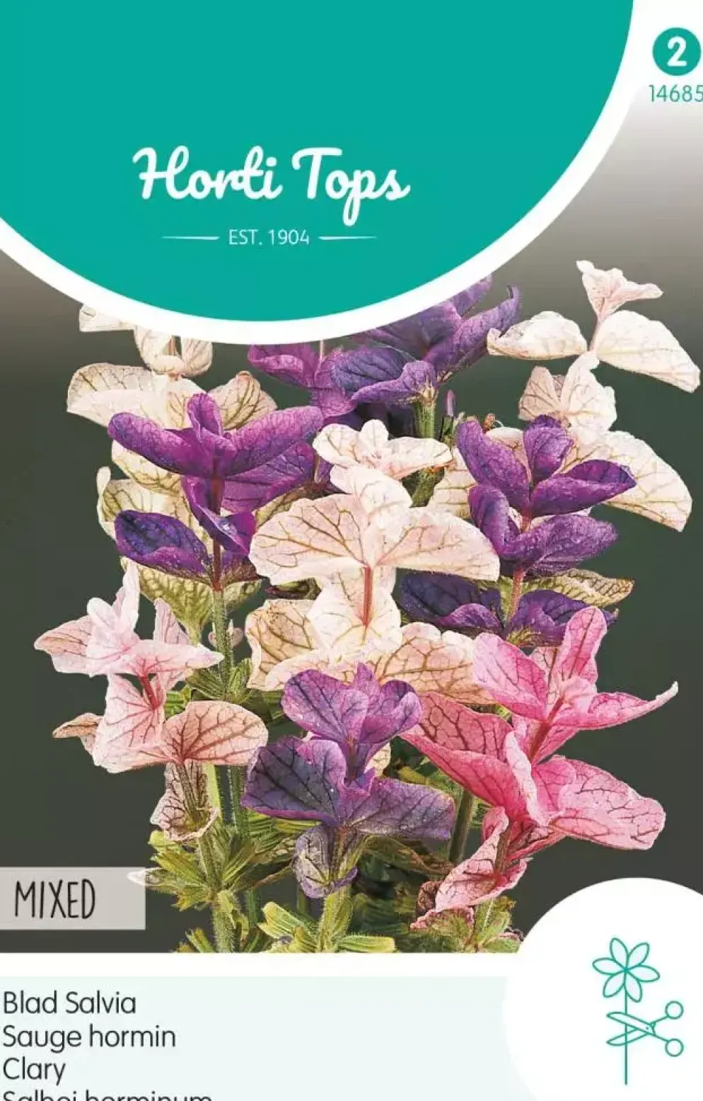 Horti tops zaden salvia, bladsalvia gemengd
