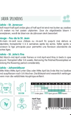 Horti tops zaden salvia, vuursalie st. jansvuur