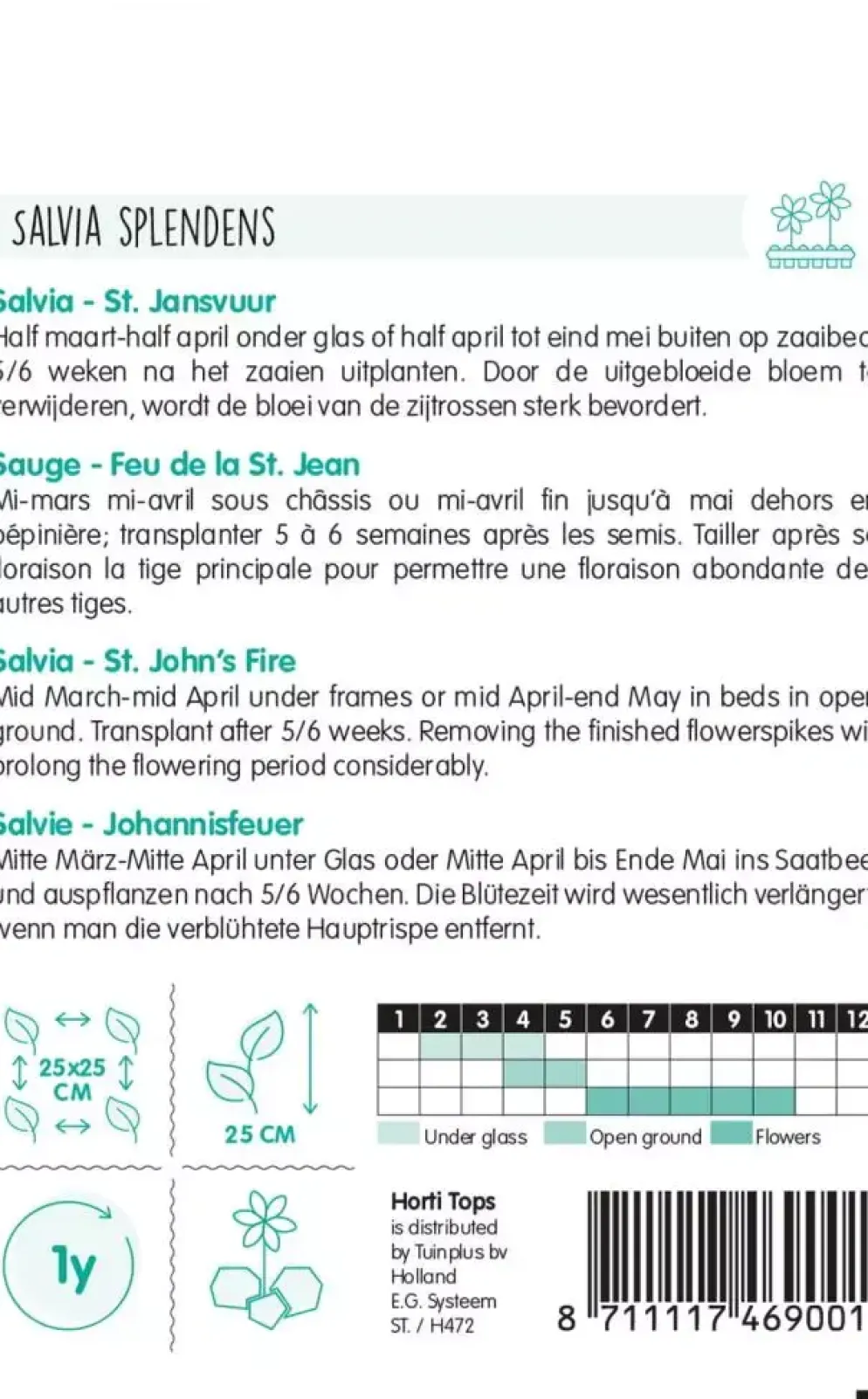 Horti tops zaden salvia, vuursalie st. jansvuur