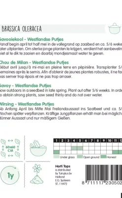 Horti tops zaden Savooiekool Donkergroene Putjes