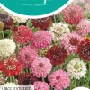 Horti tops zaden scabiosa, duifkruid gemengd