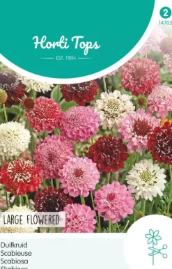 Horti tops zaden scabiosa, duifkruid gemengd