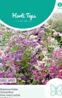 Horti tops zaden schizanthus, boerenochidee angel wings