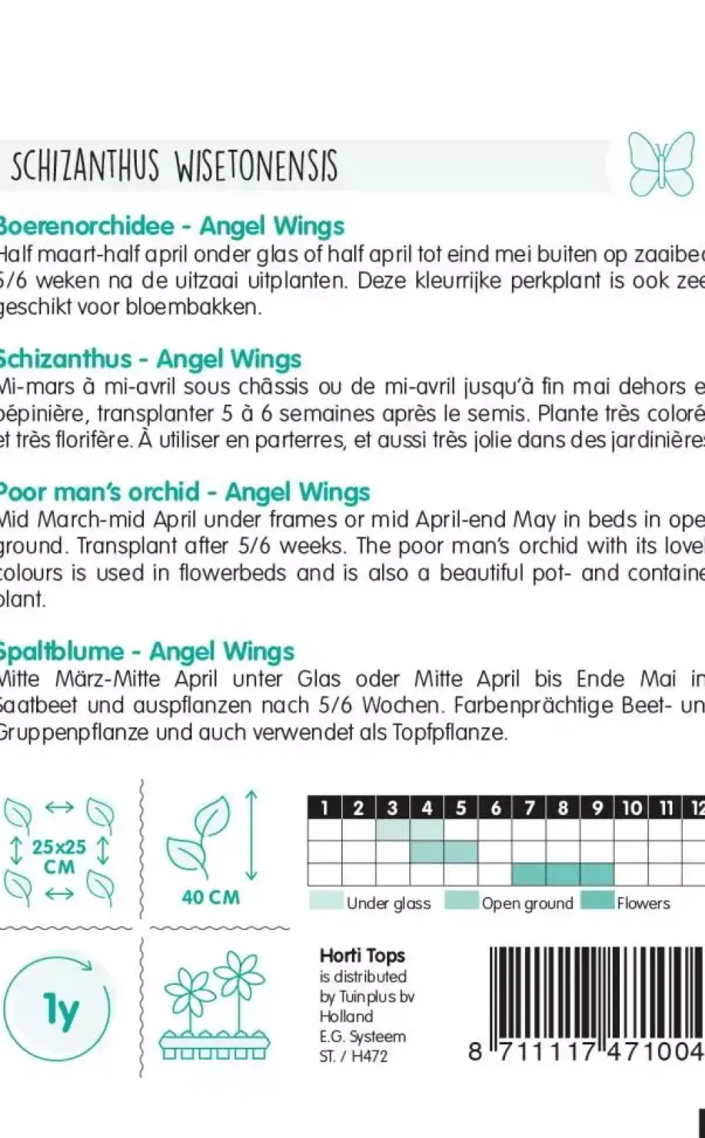 Horti tops zaden schizanthus, boerenochidee angel wings