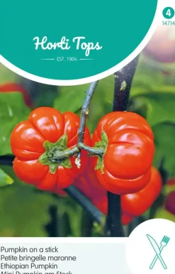 Horti tops zaden solanum, pumpkin on a stick