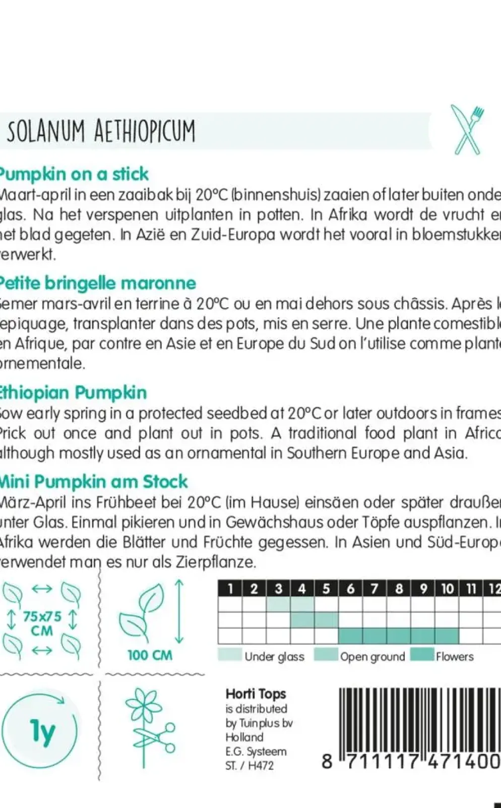 Horti tops zaden solanum, pumpkin on a stick