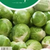 Horti tops zaden spruitkool topline