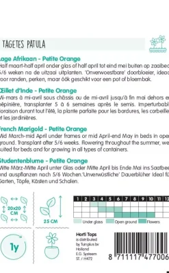 Horti tops zaden tagetes, lage afrikaan petite orange