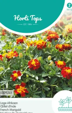 Horti tops zaden tagetes, lage afrikaan petite harmony