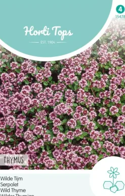 Horti tops zaden thymus, wilde tijm purperrood