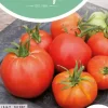 Horti tops zaden tomaten st. pierre grote vollegrondse