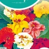 Horti tops zaden tropaeolum, oost-indische kers jewel