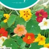 Horti tops zaden tropaeolum, oost-indische kers tom thumb