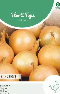 Horti tops zaden uien rijnsburger, bolronde gele