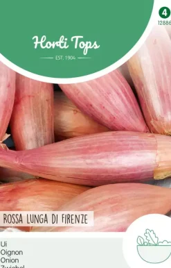 Horti tops zaden Uien Rossa lunga di Firenze