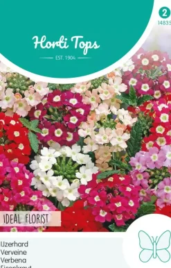 Horti tops zaden verbena, ijzerhard ideal florist gemengd