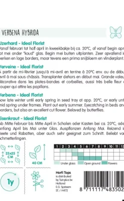 Horti tops zaden verbena, ijzerhard ideal florist gemengd