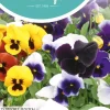 Horti tops zaden viola, viool zwitserse reuzen