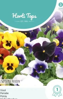 Horti tops zaden viola, viool zwitserse reuzen