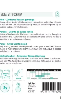 Horti tops zaden viola, viool zwitserse reuzen