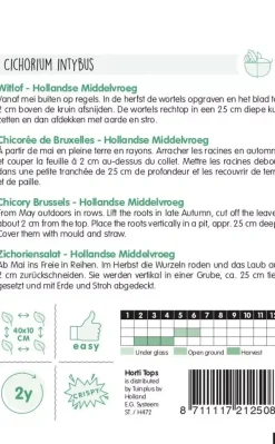 Horti tops zaden witlof hollandse middelvroeg