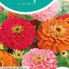Horti tops zaden zinnia californische reuzen gemengd