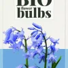 Hyacinthoides hispanica blauw 7 bloembollen