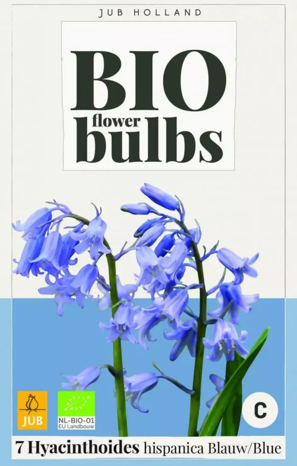 Hyacinthoides hispanica blauw 7 bloembollen