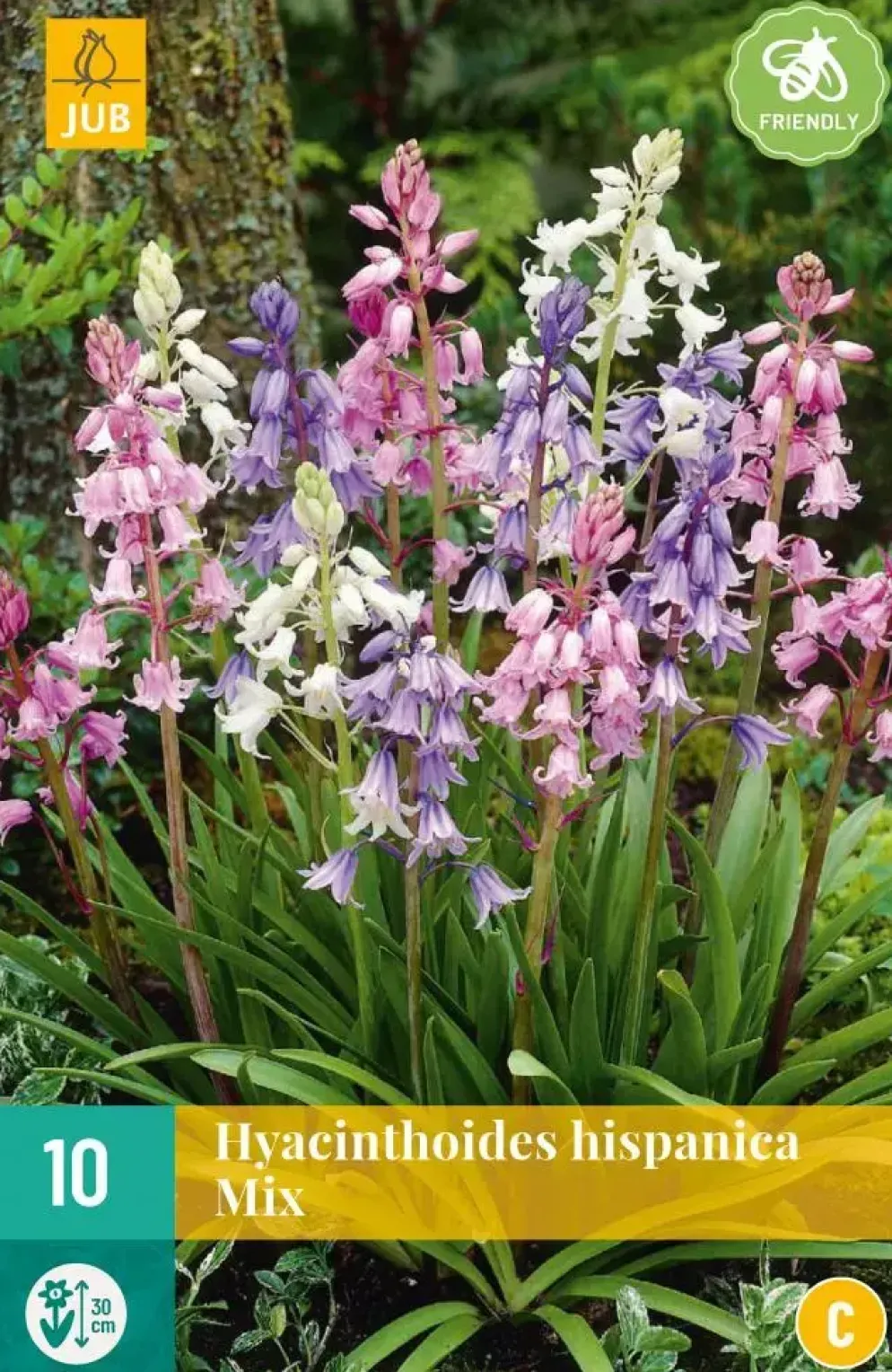 Hyacinthoides hispanica mix 10 stuks