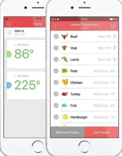 Inkbird IBT-2X bluetooth thermometer