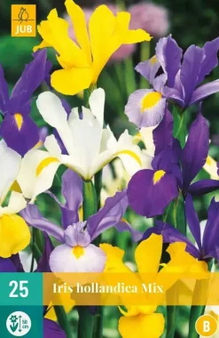 Iris hollandica mix 25 stuks