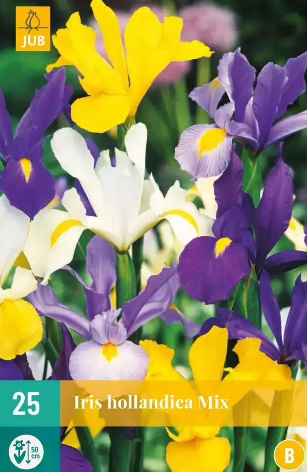Iris hollandica mix 25 stuks