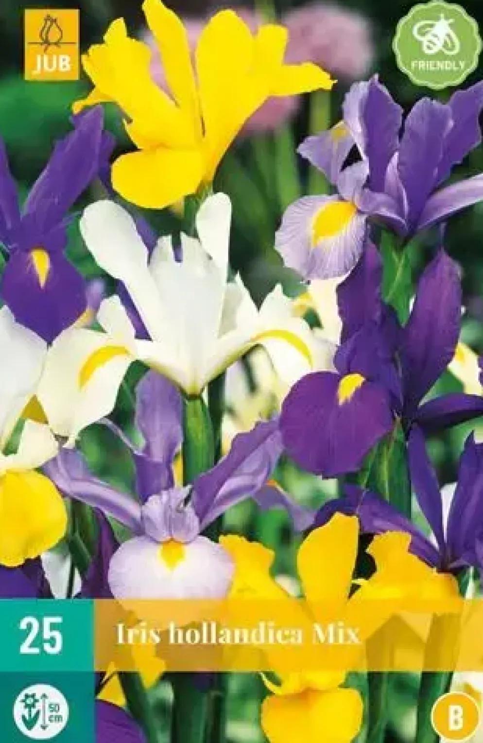 Iris hollandica mix 25 stuks