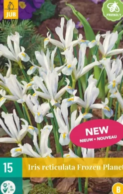 Iris ret. frozen planet 15st