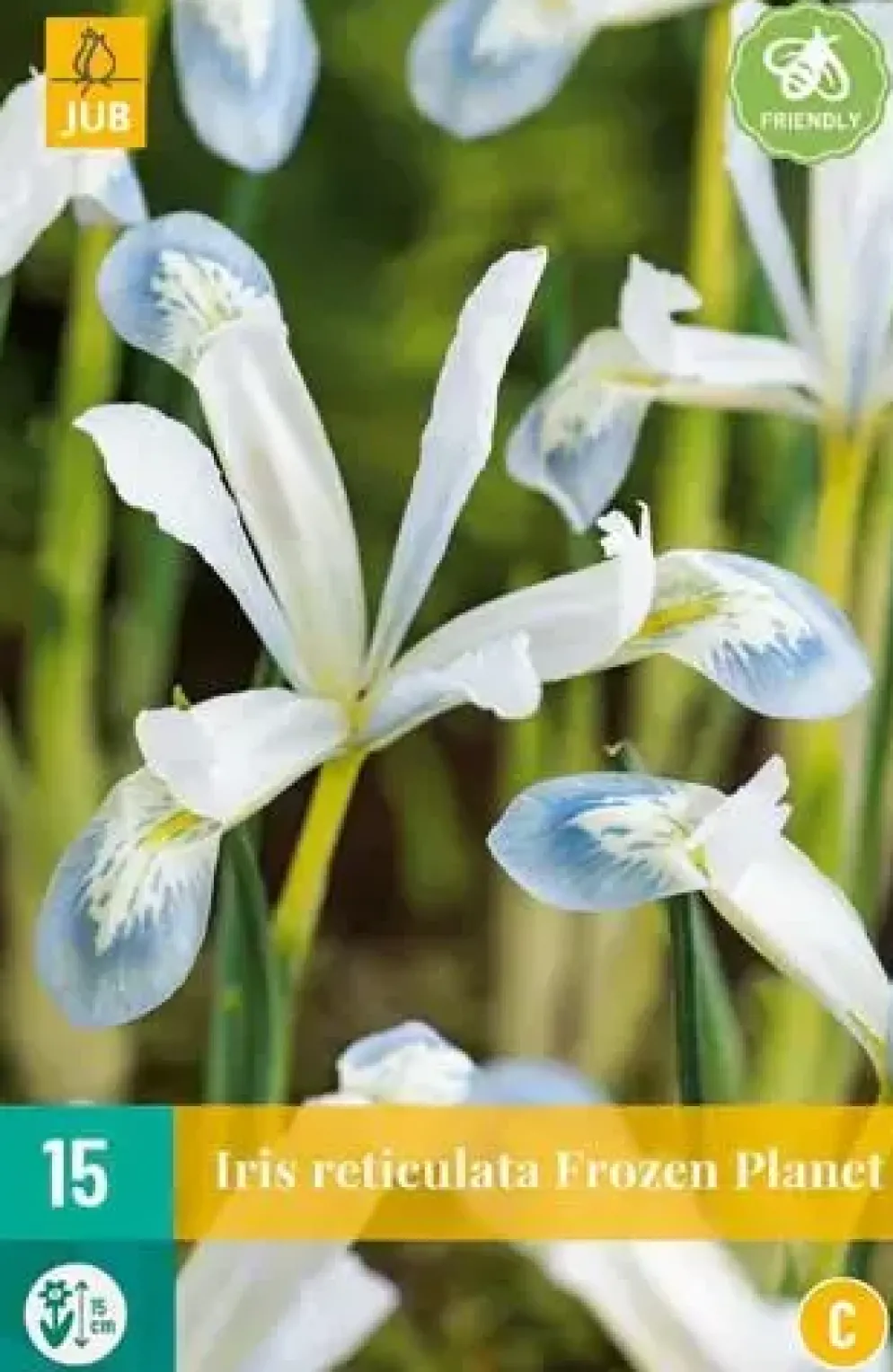 Iris ret. frozen planet 15st