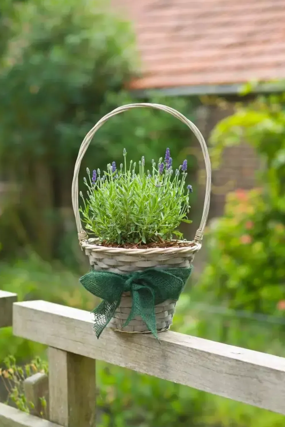 Juteband groen 10cml25m