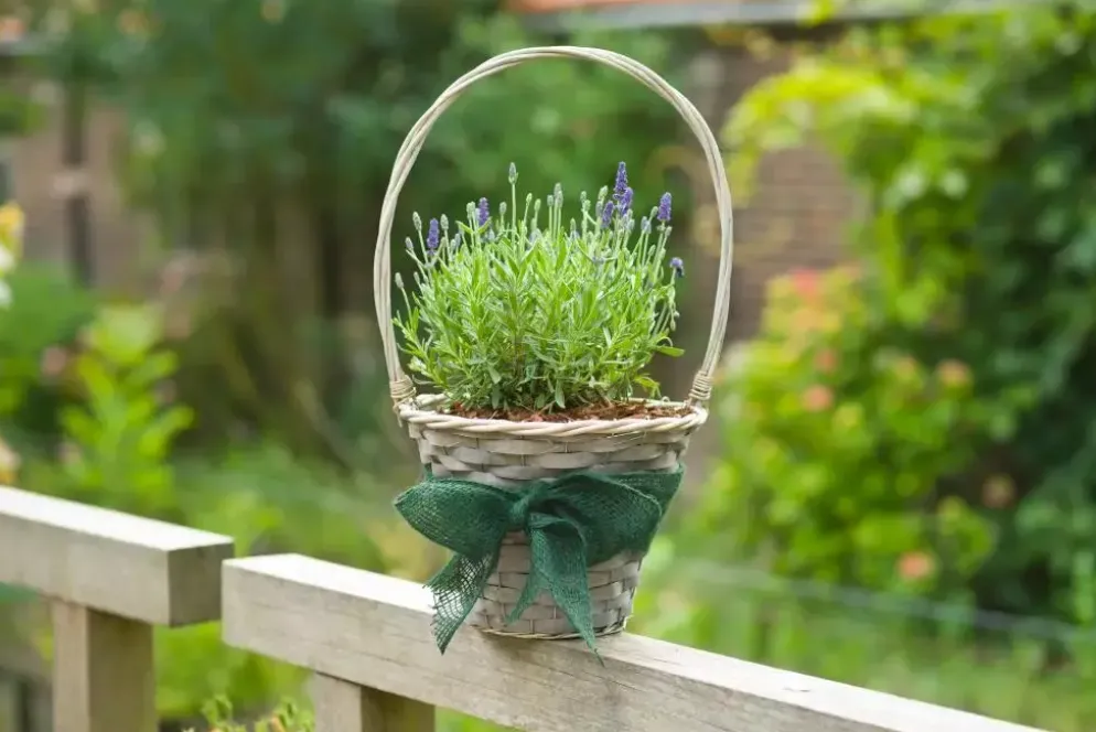 Juteband groen 10cml25m