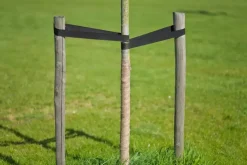 Juteband naturel 10cml25m