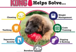 Kong hond Extreme rubber “L”, zwart