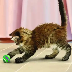 Kong kat Active, tennis balls with bells