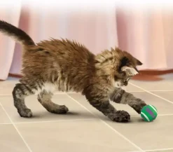 Kong kat Active, tennis balls with bells