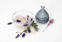 Lavandula angustifolia (Spijklavendel)