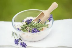 Lavandula angustifolia (Spijklavendel)
