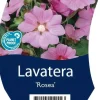 Lavatera 'Rosea' (Lavatera)
