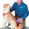 Lemax a new friend kerstdorp figuur type 2 2017